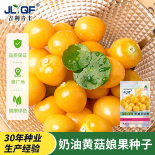 �|��������N���S����N�џ��\�������Դ����ļ�ˮ���r���߲˷N��