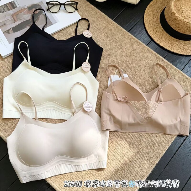 Hui Zhixin 2868 Ice Skin Foundation Liquid Large Version Beauty Back Jelly Support Foundation Liquid Bra Fixed Cup Pad Bra
