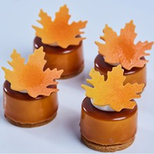 ��˹�D �߶˾�Ʒ��Ъ �����͌��õ������c �S�����l