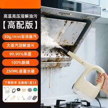 家用高温蒸汽洁机手持多功能高压消毒厨房空调家电洁