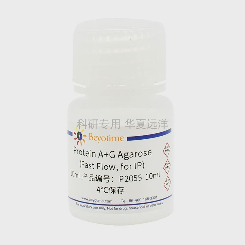 P2055-10ml，Protein A+G Agarose (Fast Flow, for IP)