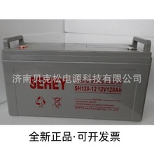 西力铅酸蓄电池NPG12-100SH太阳能发电船舶12v100a电瓶深循环