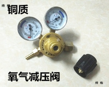 鱼车鱼箱活鱼运输氧气瓶氧气表减压器减压阀压力表全铜YQY07气压
