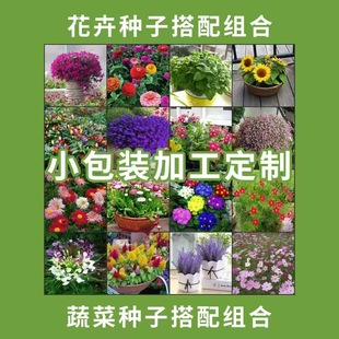 ���÷N��С���b�M�Ͽ羳�ļ�ͨ���׷N��ͥ�@ˇ���N�ӏS���̨����