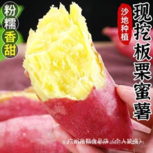 �����S�İ��������ĵعϬF�����r�t����Ŵ������������tƤ�N�ӹ�