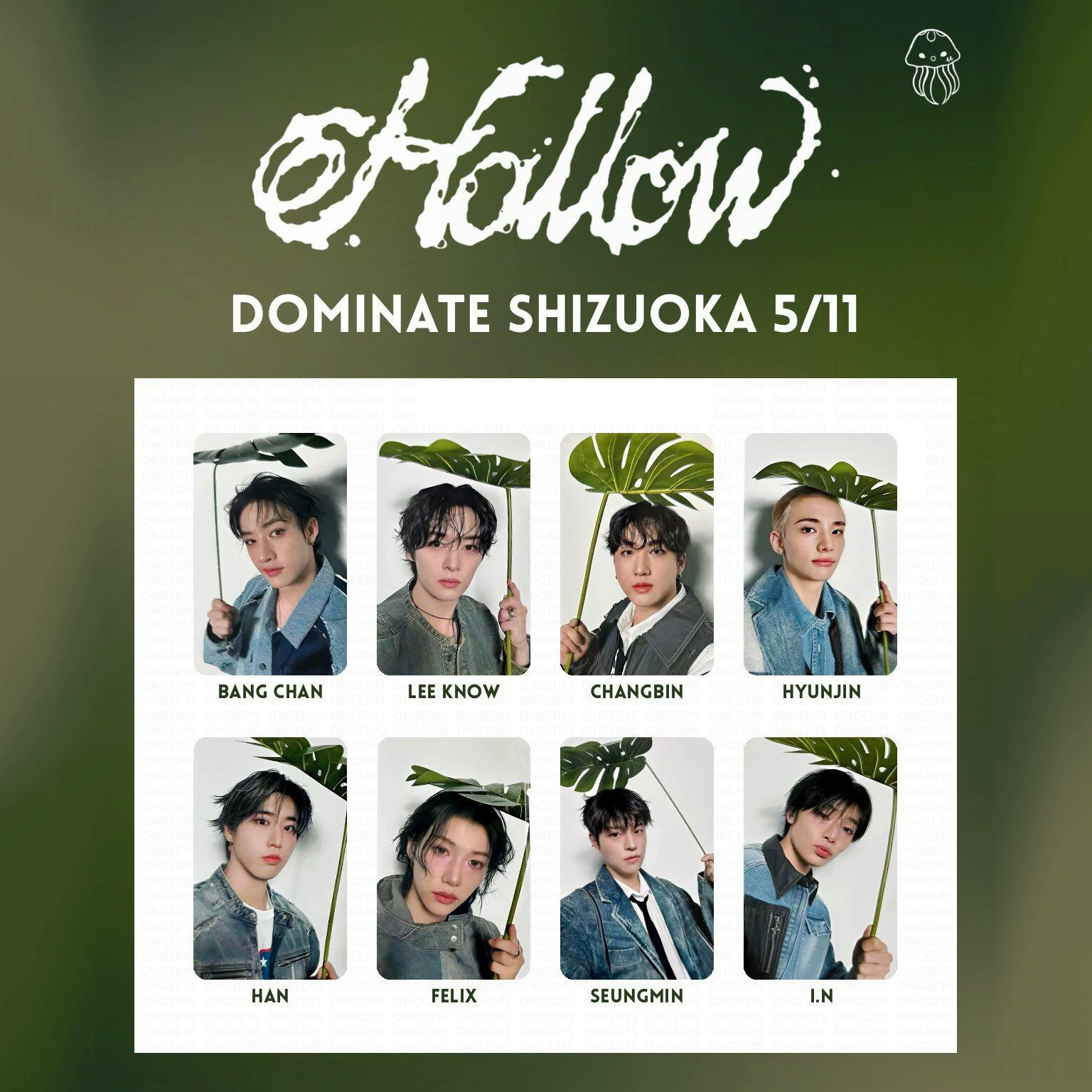 Стейкрайски즈 японский специальный SKZ «Hollow» лимитированная фотокарта Шизуока Хуансюаньчень Ли Лонгфу Фанцан