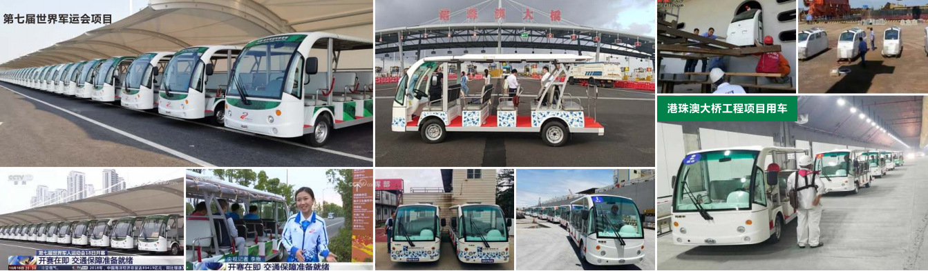 Masel Dg-C4+2-8 Golf Cart Scenic Spot Green Travel Sales Department Room Electric Sightseeing Car