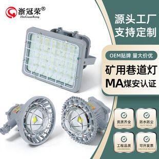 �V�÷��������LEDú�V����������DGS�A�η��θ����ͷ���������
