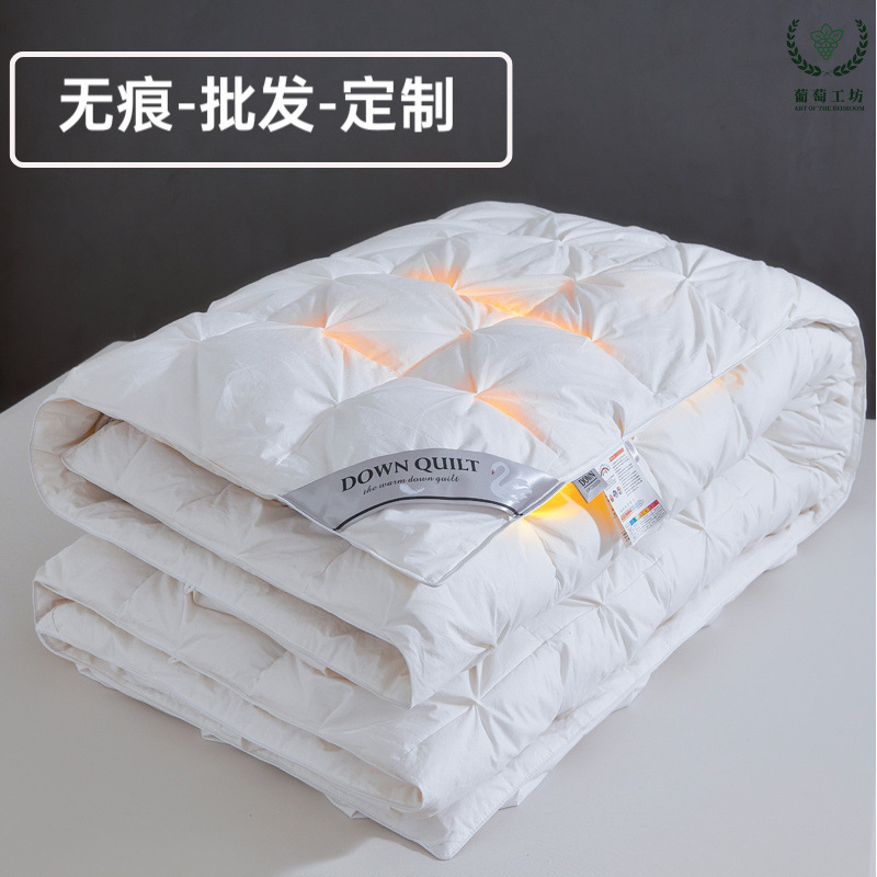 Winter down Quilt, 95% White Goose down Quilt, Single Quilt, Winter Cotton Quilt Core, Thickened for Warmth, Gift Item