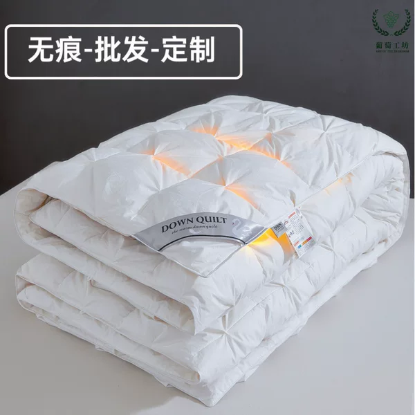 Winter down Quilt, 95% White Goose down Quilt, Single Quilt, Winter Cotton Quilt Core, Thickened for Warmth, Gift Item