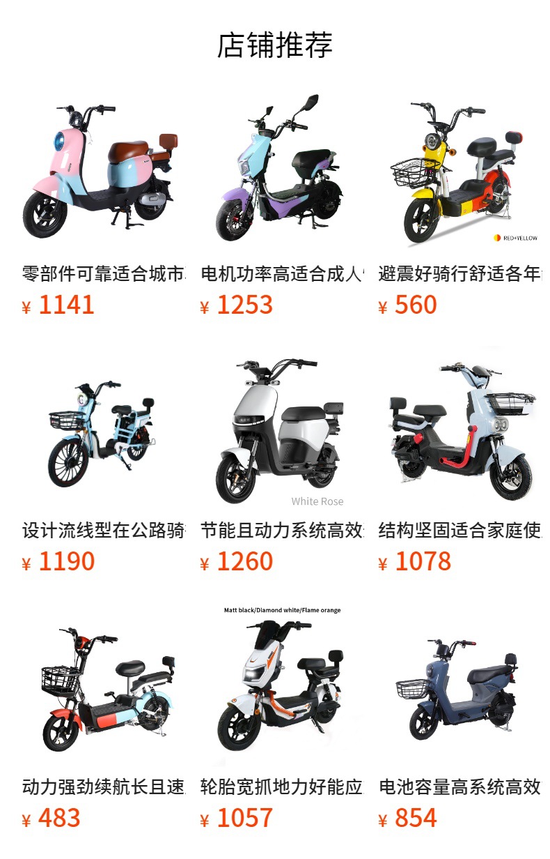 Custom Electric Bicycle, New National Standard, 48V 60V