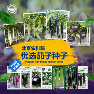 �������ӷN���ϺڈA���L���ѷN�Ѱ������u�����͟��r��Ժ�߲�����