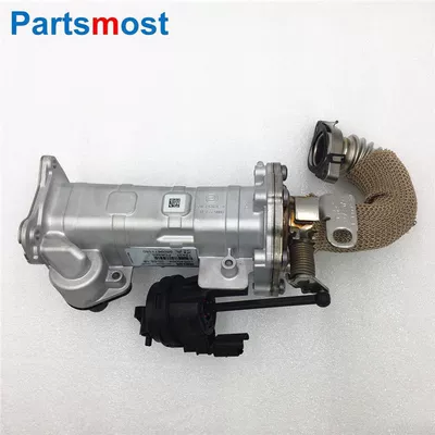 Rover Sports Aurora EGR exhaust gas – Engine assembly