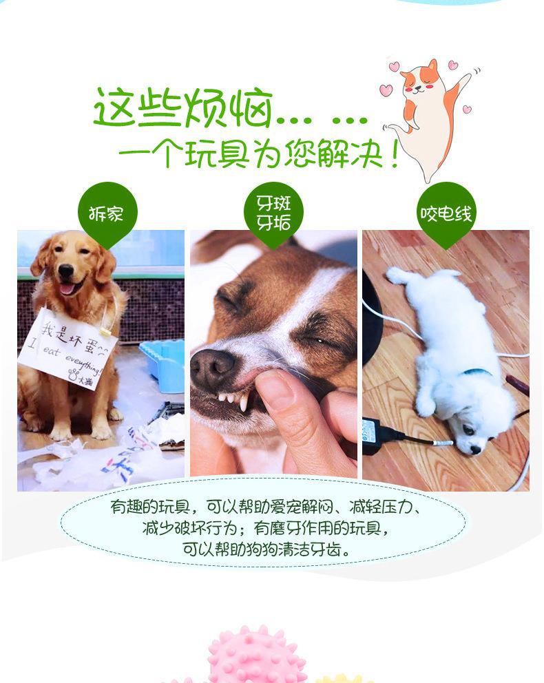 TPR刺骨玩具_02.jpg