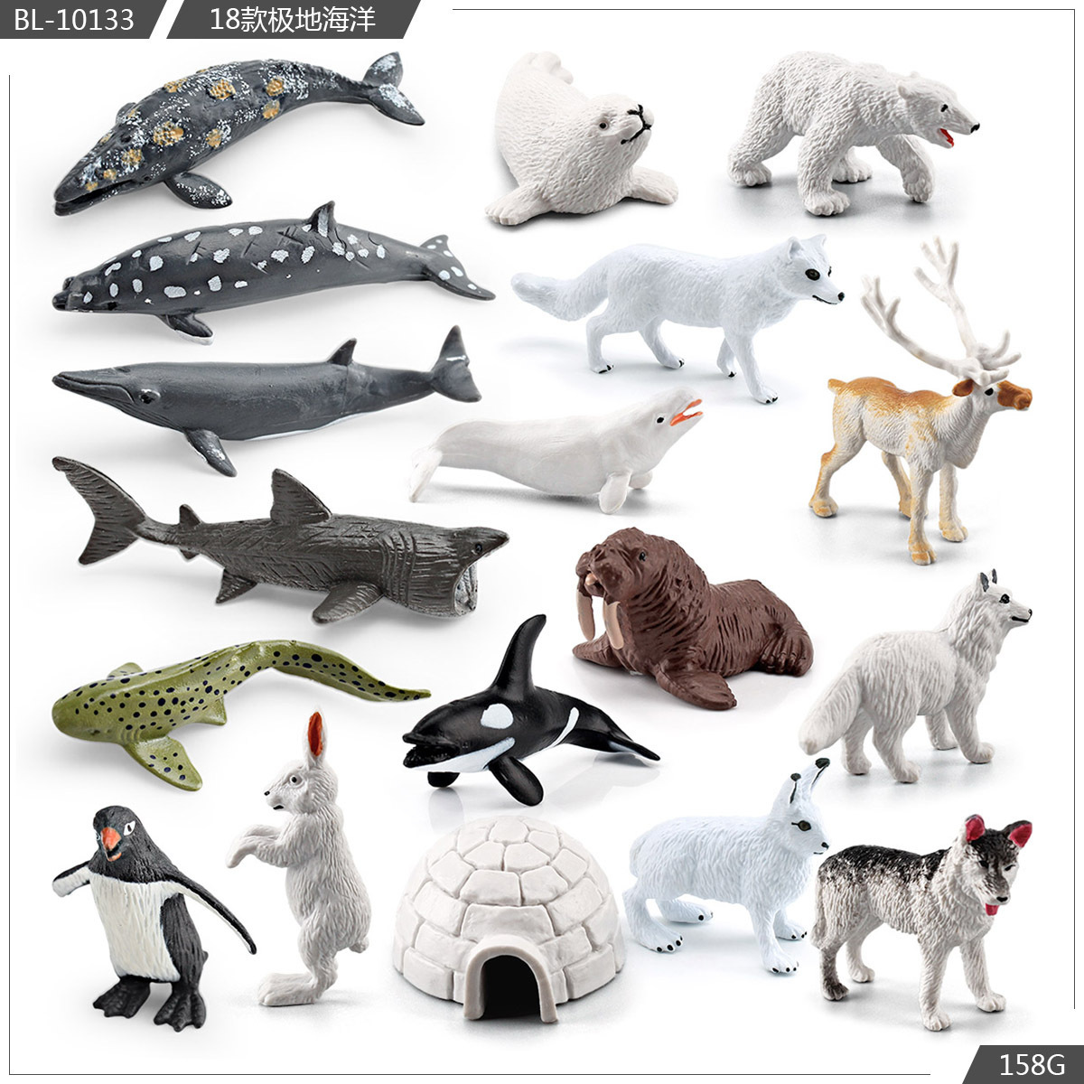 Exportación transfronteriza simulación modelo de animales polares mini animales de invierno ártico beluga morsa cognición educación temprana decoración