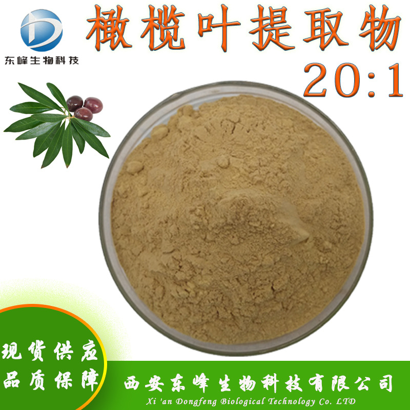 20:1橄榄叶提取物 橄榄叶粉水溶性食品原料现货供应橄榄叶提取物