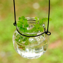 水培花瓶玻璃瓶南瓜插花小吊瓶(送铁环)绿植物吊瓶挂勾盆吊盆花盆