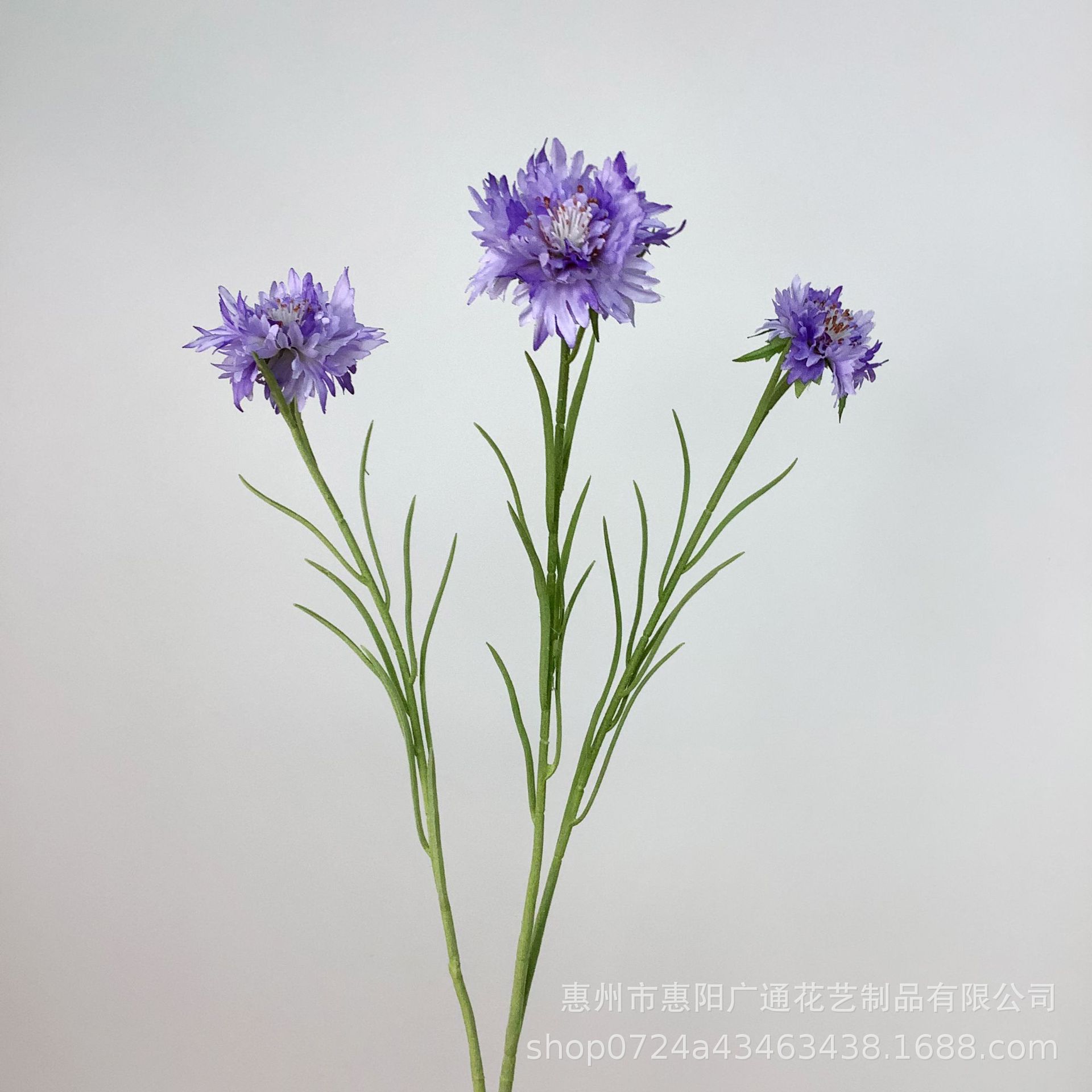 진한 보라색
