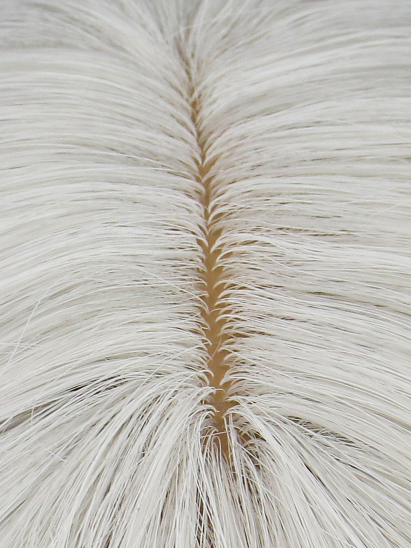 Bob Wig Image 6