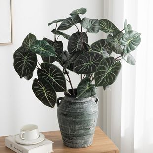 ����Gֲ�����~�����~ins�L�߶����ԼҾ��҃Ȳ廨���[�^�~��ֲ��