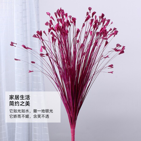 200 heads of beautiful simulated peacock grass