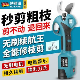 늄���֦���늼����������֦�����ʟo��������֦�����Sֱ�N