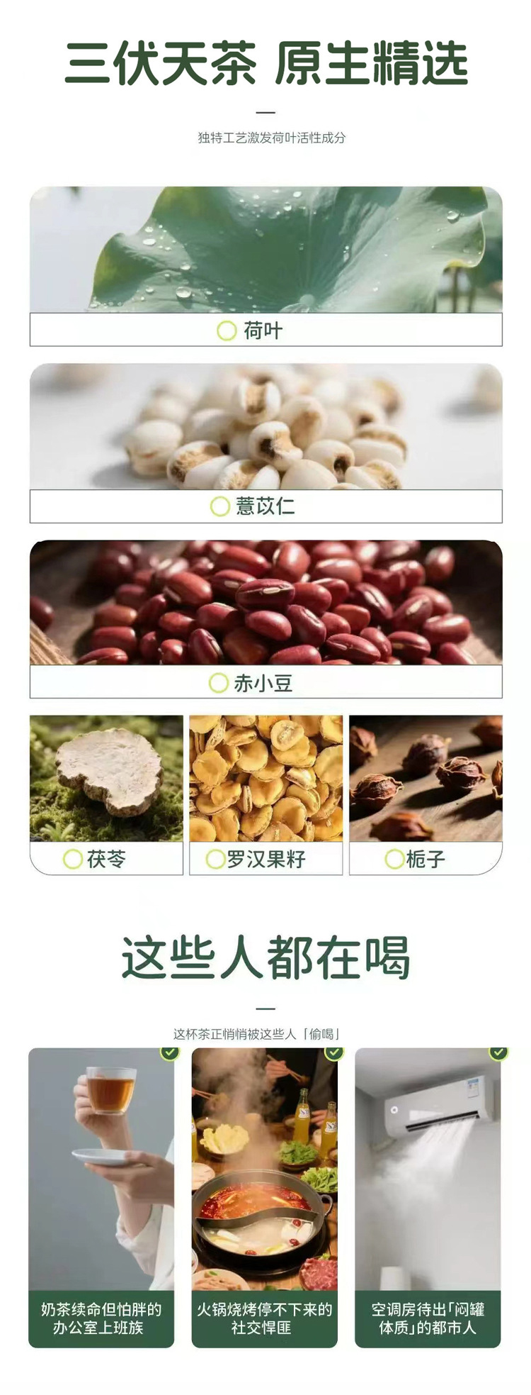 Sanfu Lotus Leaf Tea Bitter Melon Winter Melon Wellness Tea Bags 100g Sugar Free Cold Brew Herbal Blend specifications