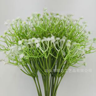 �羳�S�҆�֧�M�������l���滨�ٻ����Q�廨�Ҿ��b�c�廨