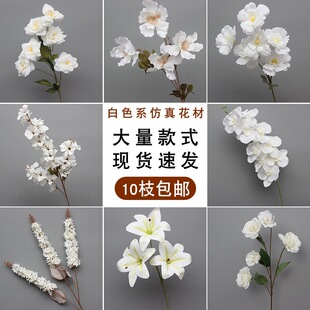 ��֦��ɫϵ��ˇ��Y���b���õ�彑������d���üҾӔ[���˱���