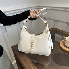 Niche design high-end armpit bag for women 2024 new fashion texture retro chain shoulder bag trendy crossbody