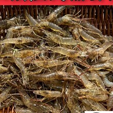 �����ղ��ơ�΢ɽ�����r��ˮ���r�r�����rˮ�a����С���r���r���r