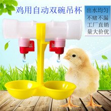 雞用雙碗吊杯飲水器 雞鴨球閥雙乳頭自動飲水碗 養殖雞用喂水器