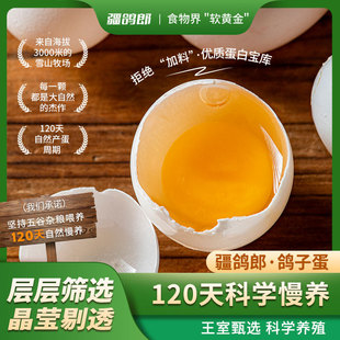 �������½����ӵ�30ö/�Y�� ���r�������|�����½������Y�а��ֶY