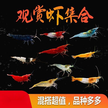 �^�p�r�ײ��r�Sֱ�l�O���{�z�q�S���㼪ʿ�ښ����嵭ˮ�rС�r���]