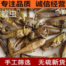 Λ�Ƹɻ��x��500g����������x�� ���и��N�����BʳΛ�Ƹ��B���