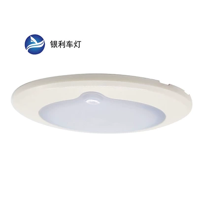 Waterproof Led Light with Adjustable – Roof Light