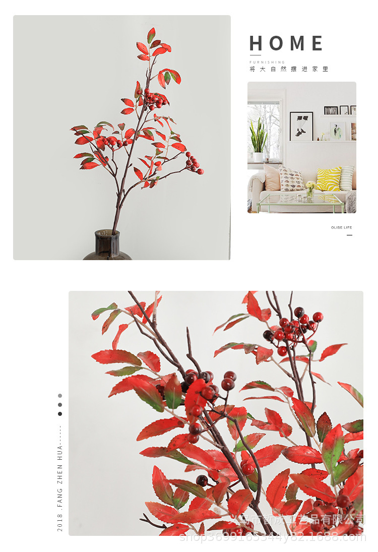 O1CN01txOpeZ1Fz9Gqaxngt_!!9481