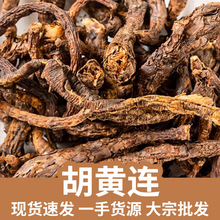 胡黄连 胡连 胡黄连片 西藏胡黄连 蒲黄连 现货供应 大货批发