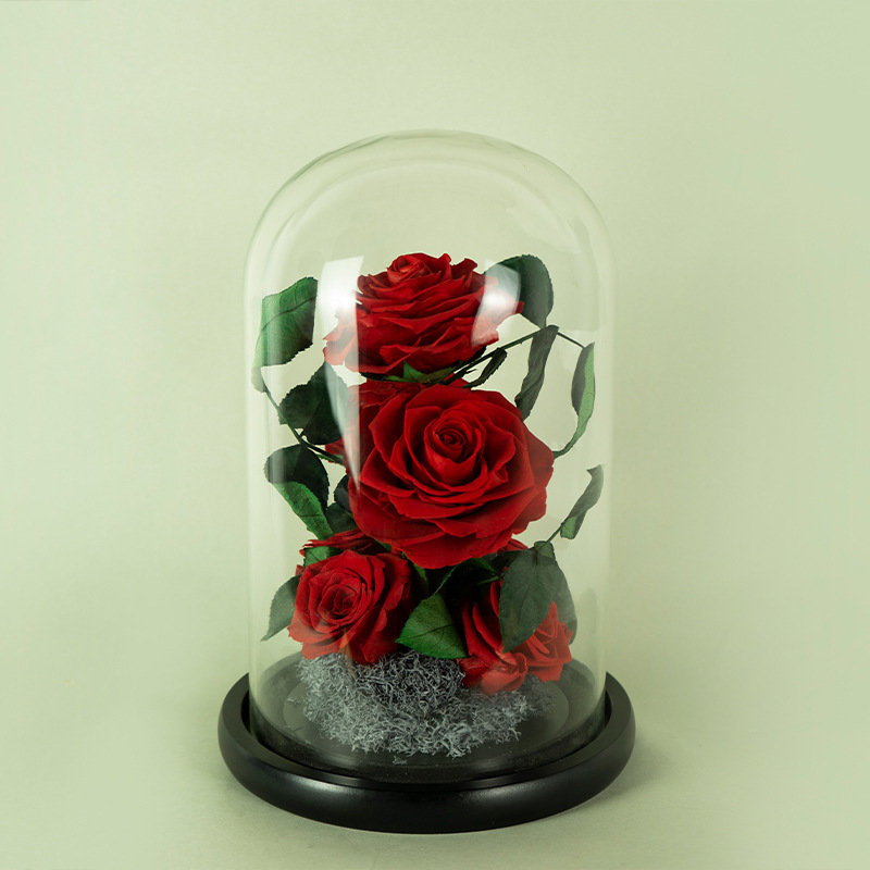 Yunnan Eternal Flower Rose Grand Prince Cubierta de cristal Producto terminado Regalo creativo para el Día de San Valentín Flor eterna Adorno de alta gama.