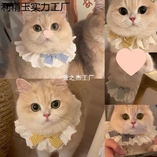 猫咪纯棉蕾丝围脖口水宠物蝴蝶结可爱围巾装饰围兜狗狗围嘴饰品