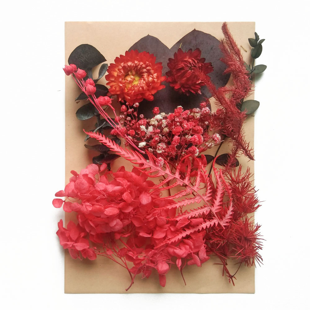 Flor seca flor eterna marco de fotos en relieve paquete de material combinación paquete de flores aromaterapia ventilador A5 bolsa de fábrica al por mayor transfronteriza