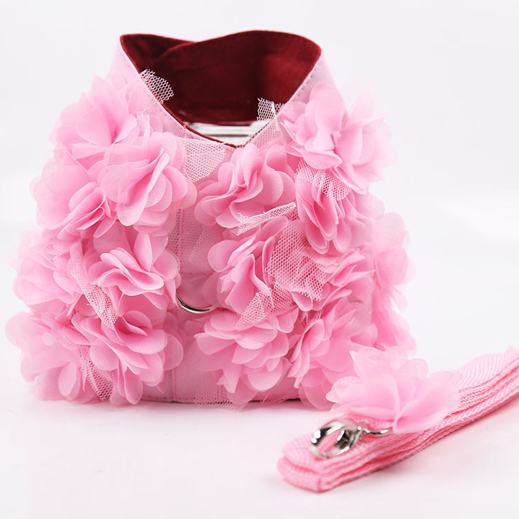 Liquidación de correas para perros de primavera y verano, arnés de mezclilla para gatos, correas para mascotas, suministros para perros, adecuadas para Teddy y gatos.