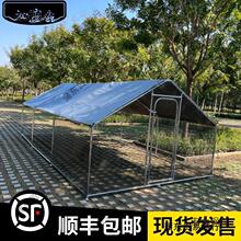 移动养鸡棚家庭大型养殖鸡棚户外雨可定笼家用散养钢管鸡舍麦太保