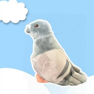 �羳ë�q�����ӹ���ë�q��߿�ͨ�B����ƽ�����������l��ż��
