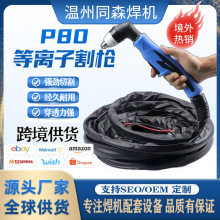 P80xи羳Q֧SEOɶNLGK100/80/12