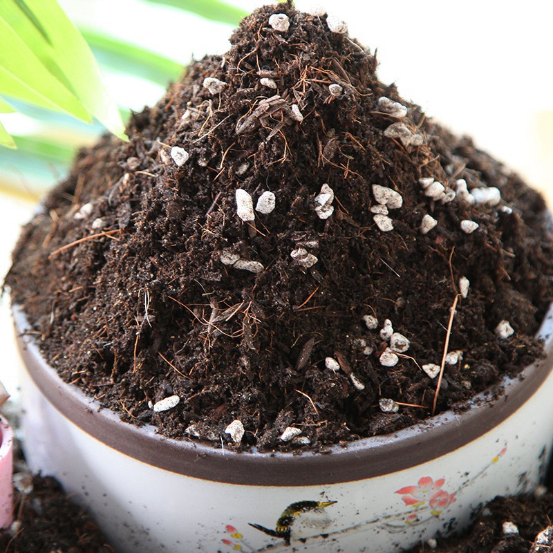 Al por mayor plantar suelo plantar flores de uso común plantación de vegetales suelo nutriente suelo flor fertilizante en maceta hogar suculento suelo orgánico