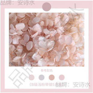 �黨��������l�b��仨�����Y�н�����ִ��N���o�˶Y�ɻ�����