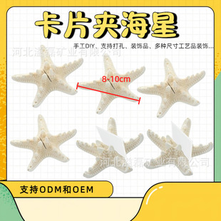 �溣���������b12��������b�Ƭ�A�m��춺�����Y�b���ݺ���