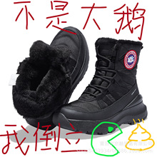 2025¿ѩѥŮӽqӺ񶬼ˮůѥɽѩЬ