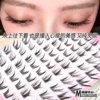 【Big ten rows glue-free】Bai Guangying